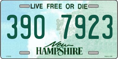 NH license plate 3907923
