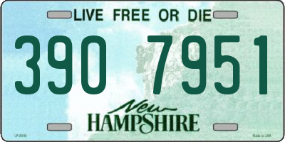 NH license plate 3907951