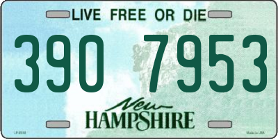 NH license plate 3907953