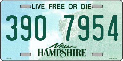 NH license plate 3907954