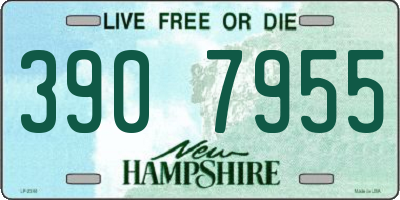 NH license plate 3907955