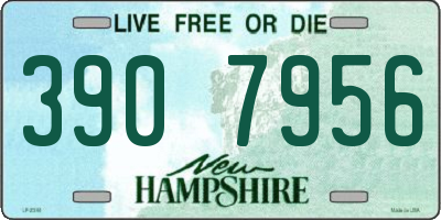 NH license plate 3907956