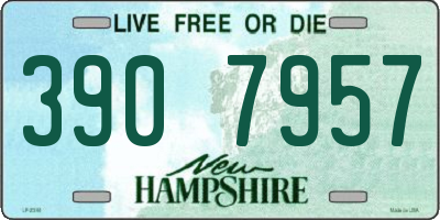 NH license plate 3907957