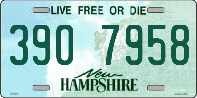 NH license plate 3907958