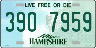 NH license plate 3907959