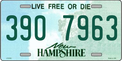 NH license plate 3907963