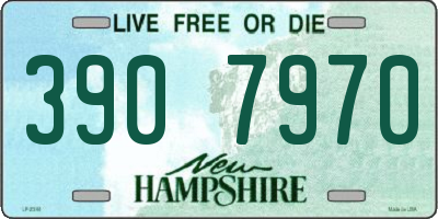 NH license plate 3907970
