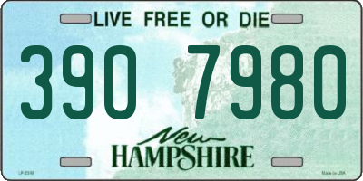 NH license plate 3907980