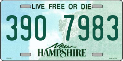 NH license plate 3907983