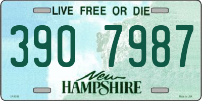 NH license plate 3907987