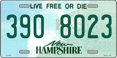 NH license plate 3908023