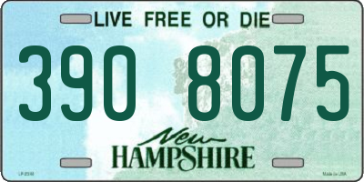 NH license plate 3908075