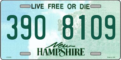 NH license plate 3908109