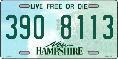 NH license plate 3908113