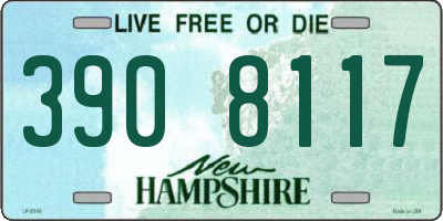 NH license plate 3908117