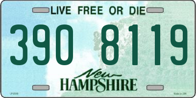 NH license plate 3908119
