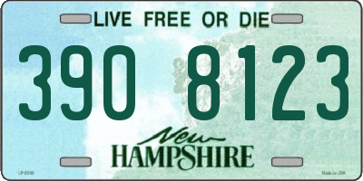 NH license plate 3908123