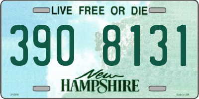 NH license plate 3908131