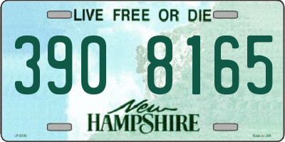NH license plate 3908165