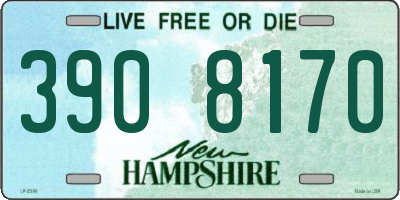 NH license plate 3908170