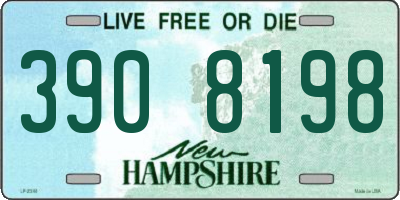 NH license plate 3908198