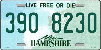 NH license plate 3908230