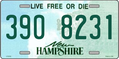 NH license plate 3908231