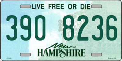 NH license plate 3908236