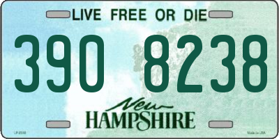 NH license plate 3908238