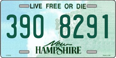 NH license plate 3908291