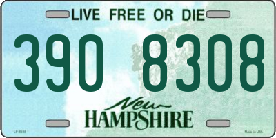 NH license plate 3908308