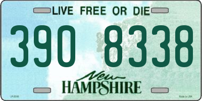 NH license plate 3908338