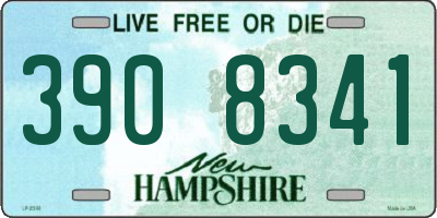 NH license plate 3908341