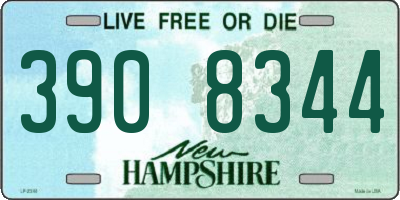NH license plate 3908344