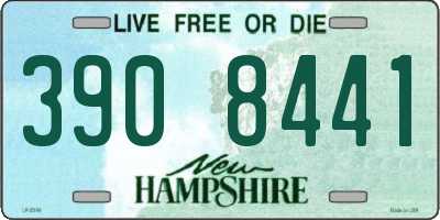 NH license plate 3908441