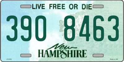 NH license plate 3908463