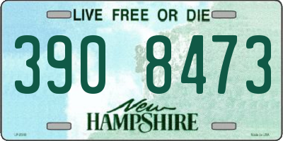 NH license plate 3908473