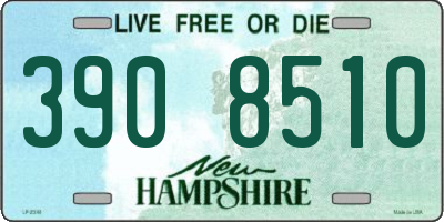 NH license plate 3908510