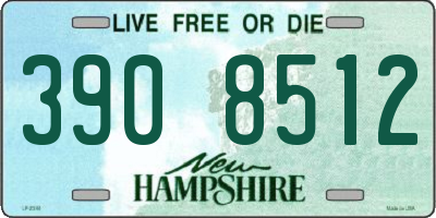 NH license plate 3908512