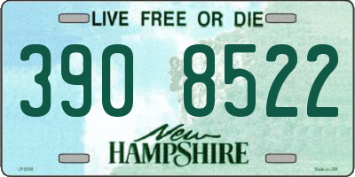 NH license plate 3908522