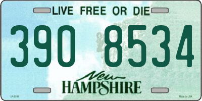 NH license plate 3908534