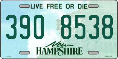 NH license plate 3908538