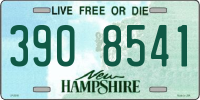 NH license plate 3908541