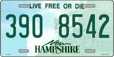 NH license plate 3908542