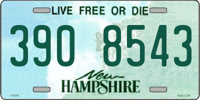 NH license plate 3908543