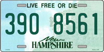 NH license plate 3908561