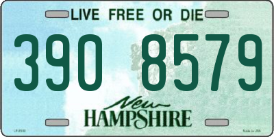 NH license plate 3908579