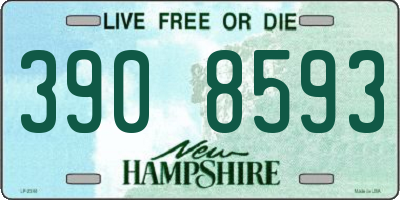 NH license plate 3908593