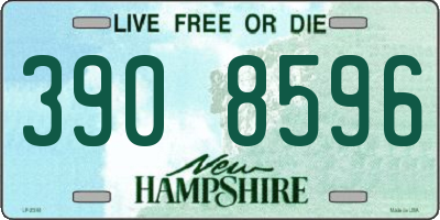 NH license plate 3908596