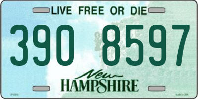 NH license plate 3908597